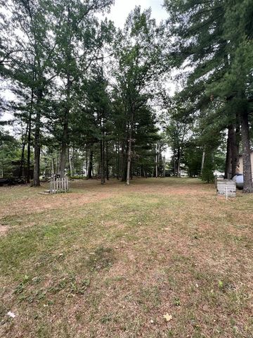 16657 S Star Lake Drive, Baldwin, MI 49304