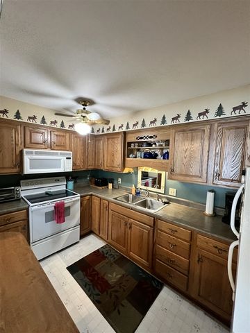 16657 S Star Lake Drive, Baldwin, MI 49304