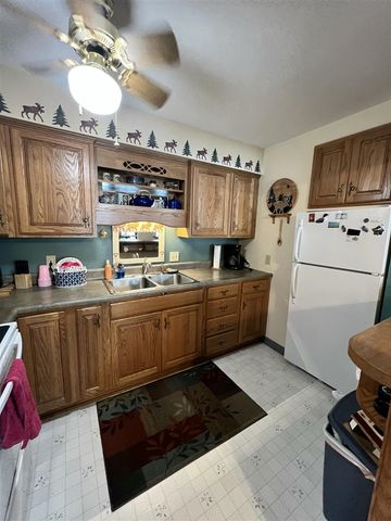 16657 S Star Lake Drive, Baldwin, MI 49304