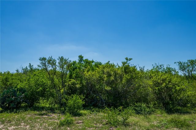 625 W County Road 303, Orange Grove, TX 78372