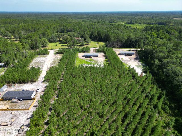 1265 Bradwell Dunham Road NE, Ludowici, GA 31316