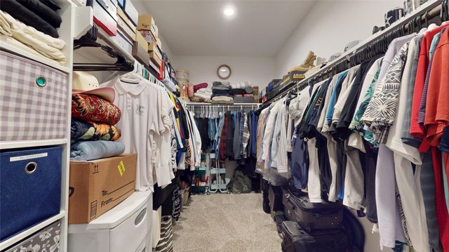 20167 Bushwick Falls Drive, Montgomery, TX 77316