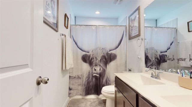 20167 Bushwick Falls Drive, Montgomery, TX 77316