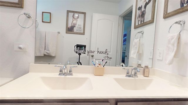 20167 Bushwick Falls Drive, Montgomery, TX 77316