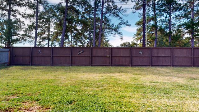 20167 Bushwick Falls Drive, Montgomery, TX 77316