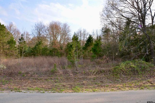 129 Private Road 6238, Mineola, TX 75773