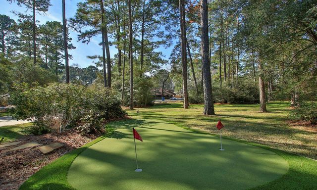 22310 Meadowsweet Drive, Magnolia, TX 77355