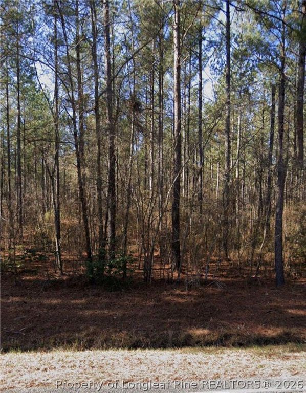 McBryde Street, Linden, NC 28356 — exterior