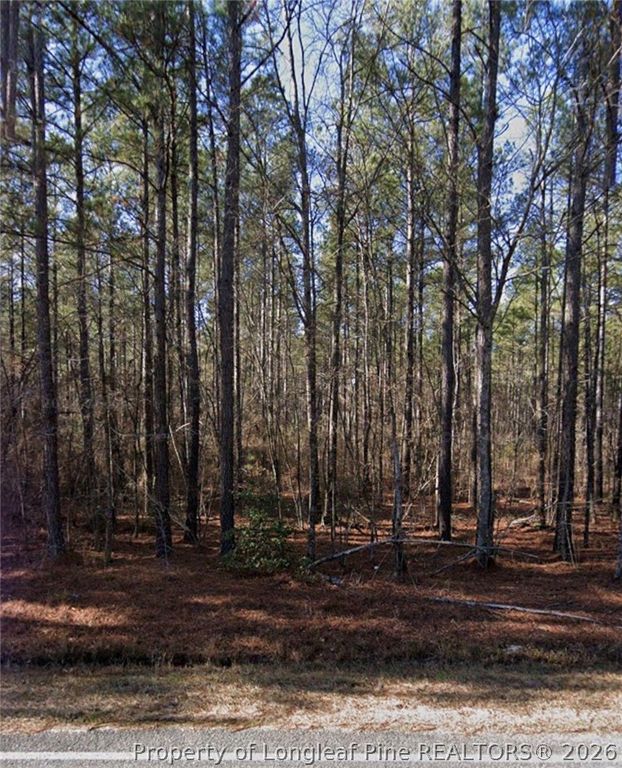 McBryde Street, Linden, NC 28356 — photo 2