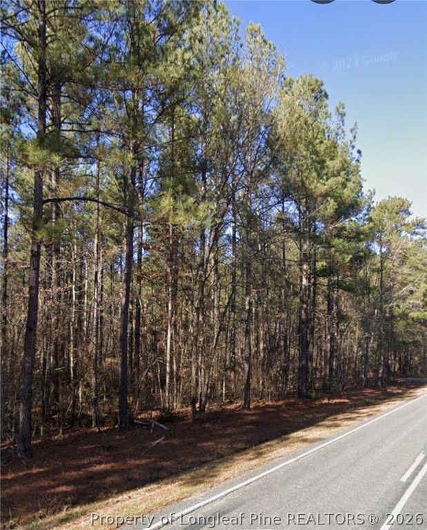 McBryde Street, Linden, NC 28356 — photo 3