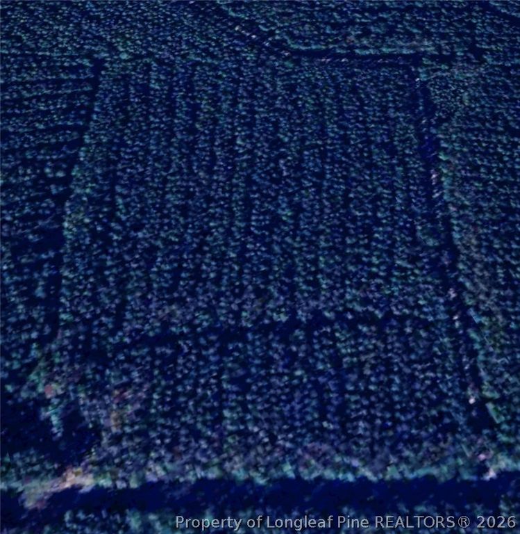 McBryde Street, Linden, NC 28356 — photo 4