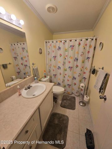 14221 Midmoor Boulevard, Brooksville, FL 34613