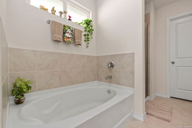 248 Cuban Emerald, San Antonio, TX 78253