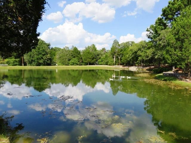 111 Post Oak DR, Elgin, TX 78621