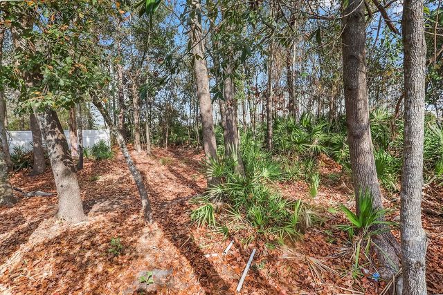 231 Wellington Place, Brunswick, GA 31523