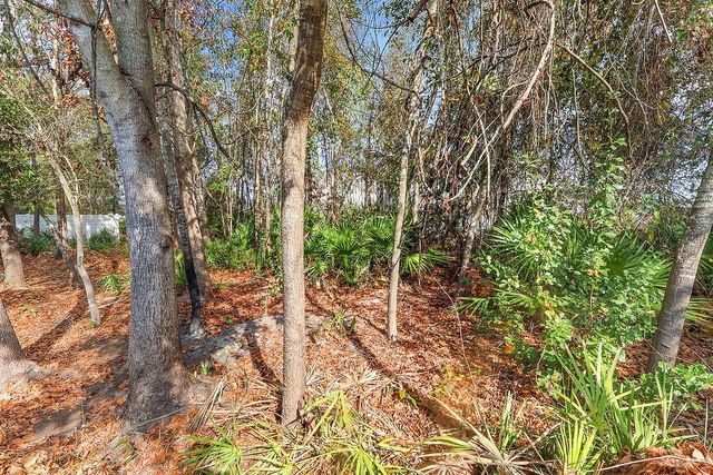 231 Wellington Place, Brunswick, GA 31523