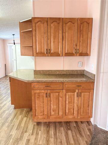 3505 METEOR PLACE, Valrico, FL 33594