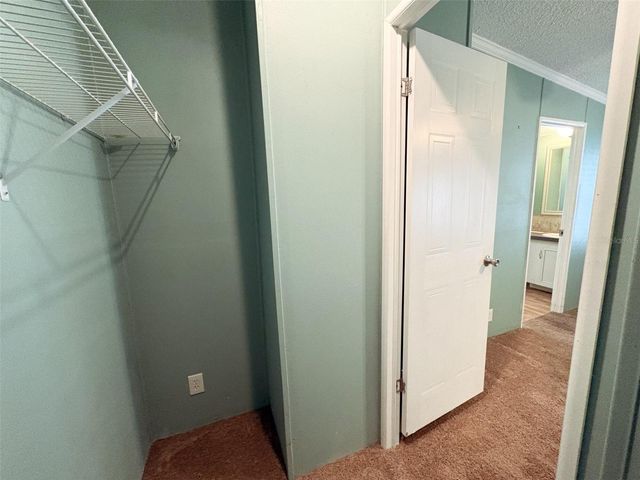 3505 METEOR PLACE, Valrico, FL 33594