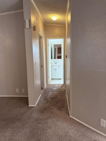 3505 METEOR PLACE, Valrico, FL 33594