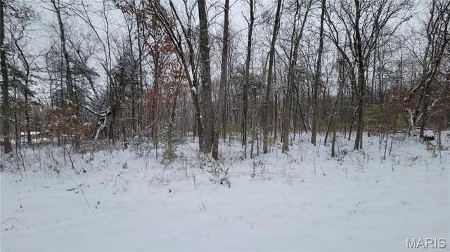 Tract 3 Valley Farm Lane, Warrenton, MO 63383