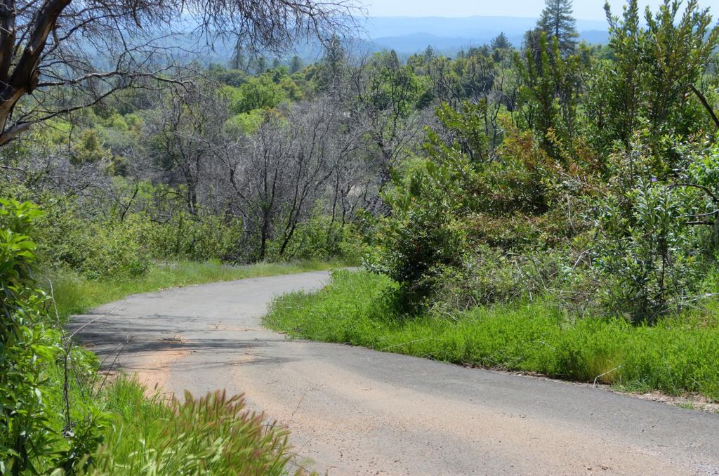 Image 20 of property listing at 4632 Triangle Road, Mariposa, CA 95338