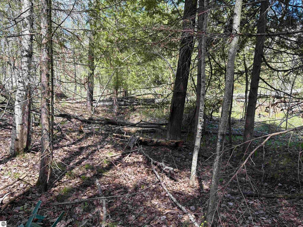 Image 12 of property listing at 11310 W Rosebush Road, Weidman, MI 48893