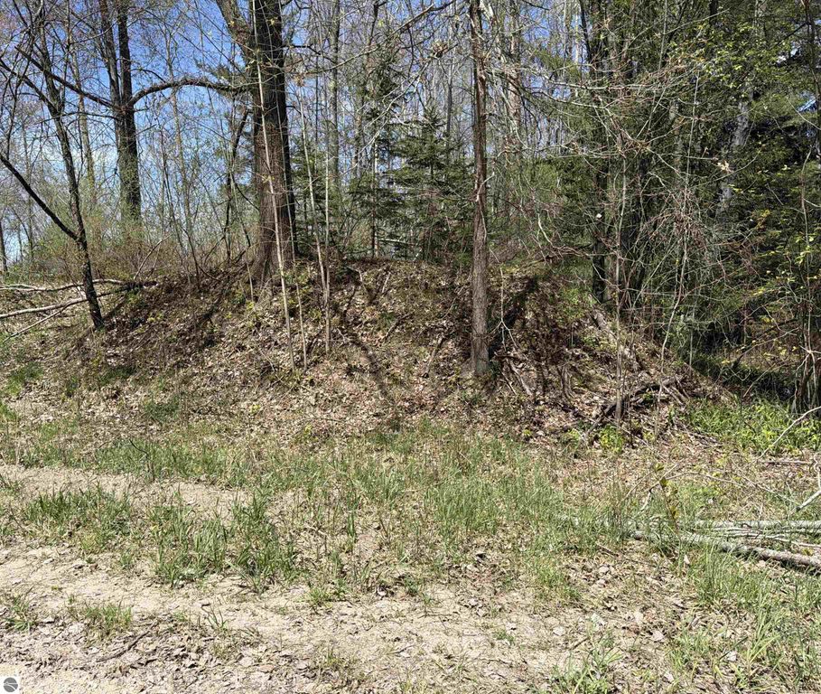 Image 2 of property listing at 11310 W Rosebush Road, Weidman, MI 48893