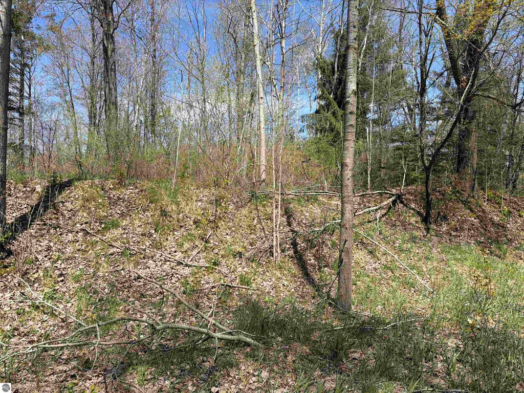 Image 3 of property listing at 11310 W Rosebush Road, Weidman, MI 48893