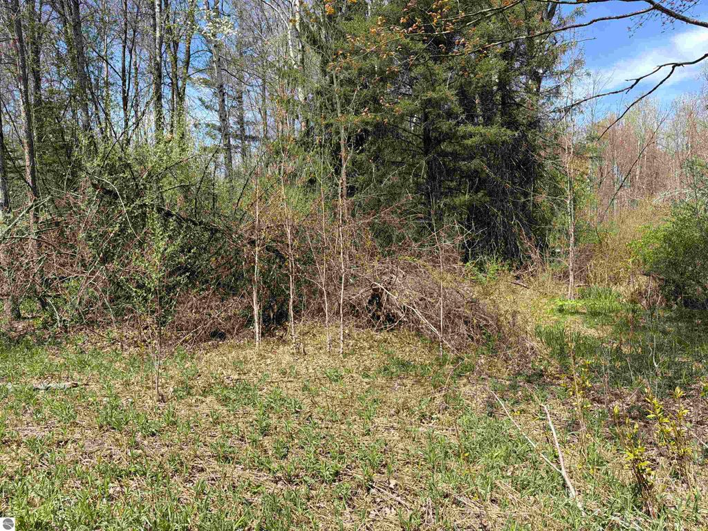 Image 4 of property listing at 11310 W Rosebush Road, Weidman, MI 48893