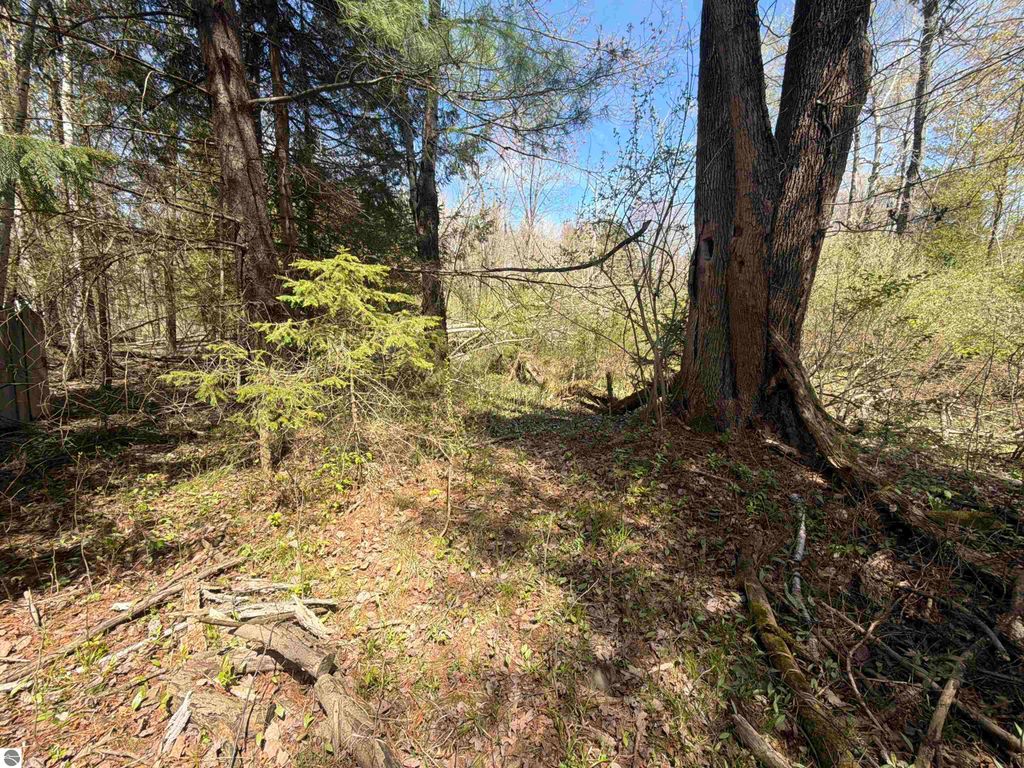 Image 5 of property listing at 11310 W Rosebush Road, Weidman, MI 48893