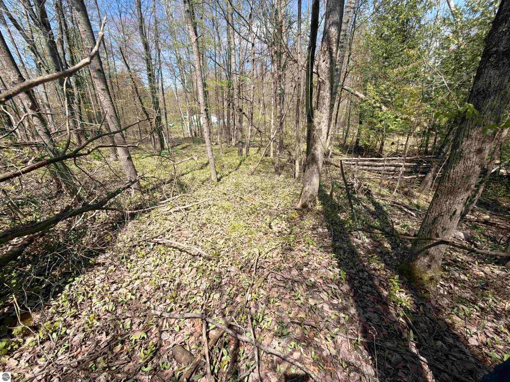 Image 6 of property listing at 11310 W Rosebush Road, Weidman, MI 48893