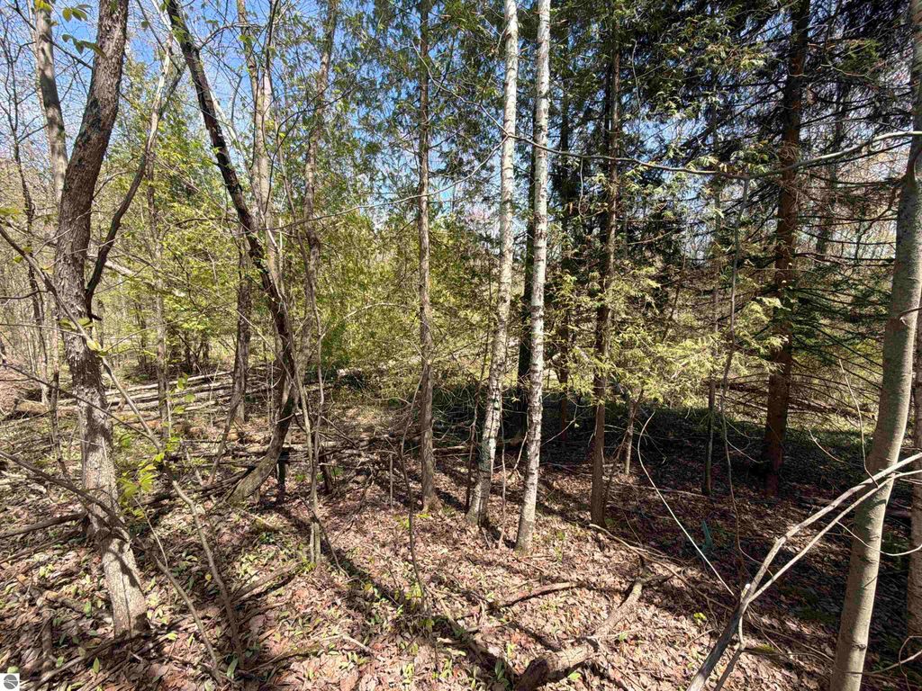 Image 7 of property listing at 11310 W Rosebush Road, Weidman, MI 48893