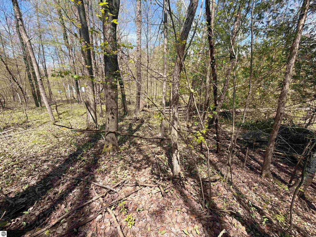 Image 8 of property listing at 11310 W Rosebush Road, Weidman, MI 48893