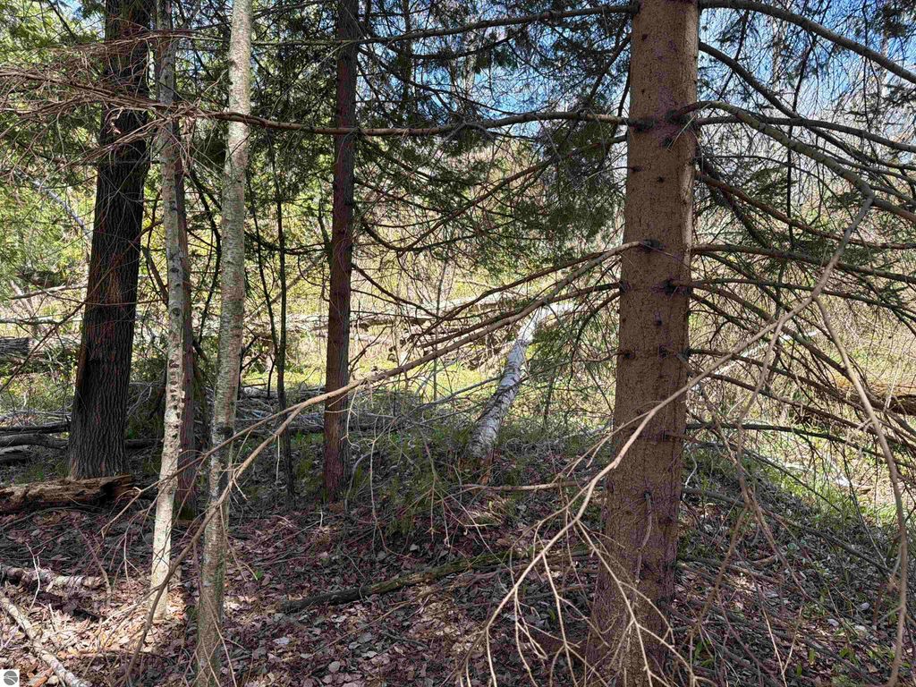 Image 9 of property listing at 11310 W Rosebush Road, Weidman, MI 48893