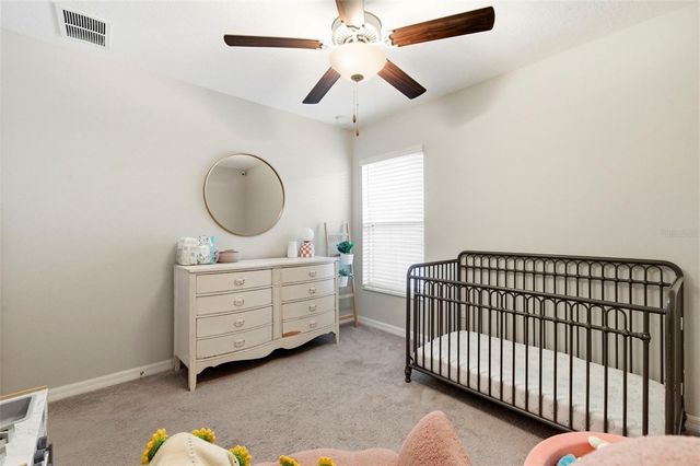 13307 WILLOW BLUESTAR LOOP, Riverview, FL 33579