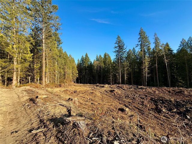 105 E Lakewood Drive, Belfair, WA 98528
