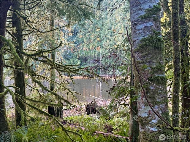105 E Lakewood Drive, Belfair, WA 98528