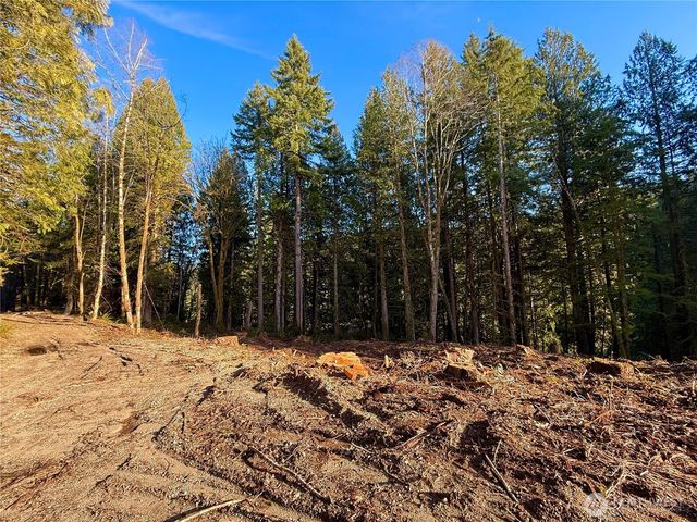105 E Lakewood Drive, Belfair, WA 98528