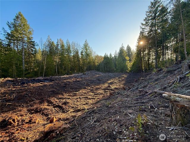 105 E Lakewood Drive, Belfair, WA 98528
