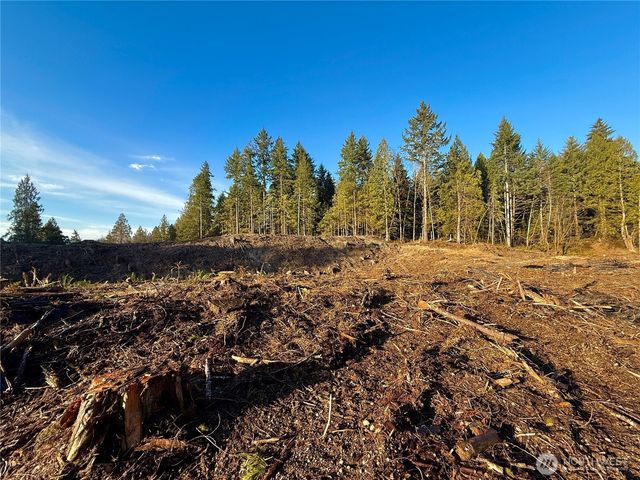 105 E Lakewood Drive, Belfair, WA 98528