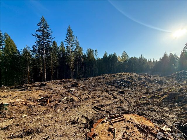 105 E Lakewood Drive, Belfair, WA 98528