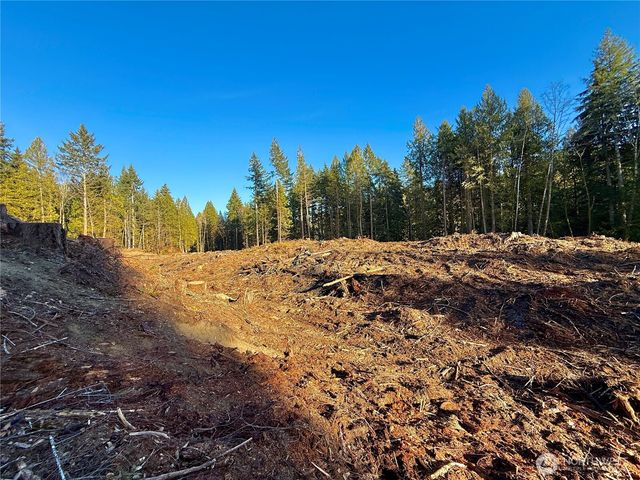 105 E Lakewood Drive, Belfair, WA 98528