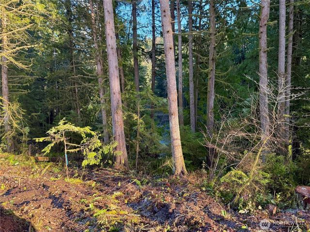 105 E Lakewood Drive, Belfair, WA 98528