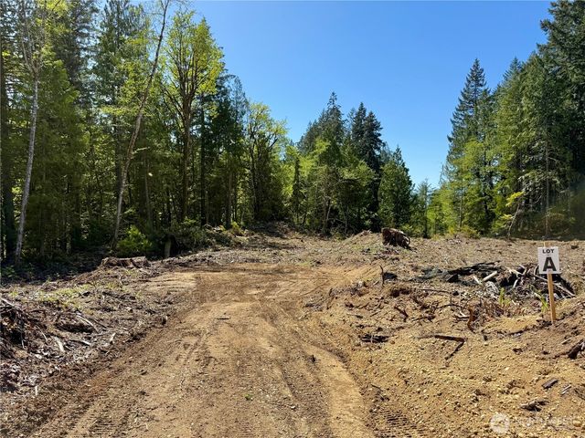 105 E Lakewood Drive, Belfair, WA 98528