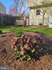 206 ARMSTRONG LN, Pasadena, MD 21122