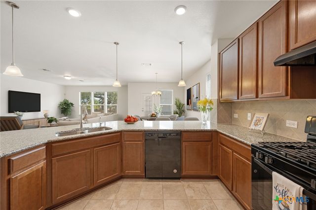 509 Sheepshank Drive, Georgetown, TX 78633