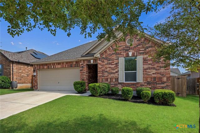 509 Sheepshank Drive, Georgetown, TX 78633
