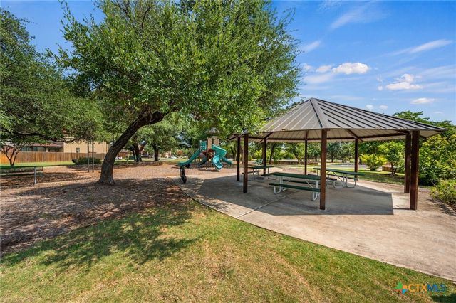 509 Sheepshank Drive, Georgetown, TX 78633