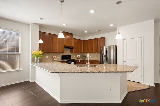 509 Sheepshank Drive, Georgetown, TX 78633