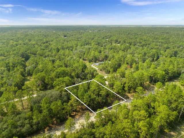 NE 156TH CT, Williston, FL 32696